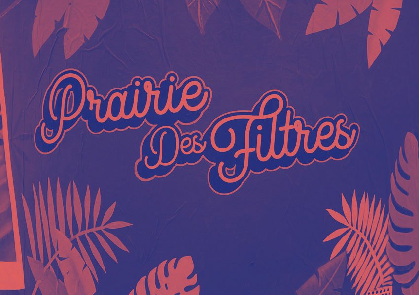 Graffiti "Prairie des Filtres" avec lettrage stylisé et motifs végétaux (feuilles de palmier). Couleurs dominantes : bleu et orange, style urbain.